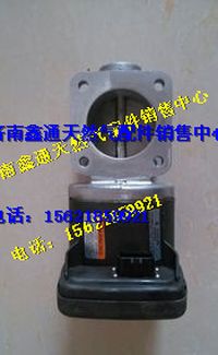 濰柴氣體機電子節(jié)氣門