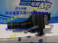 濰柴天然氣LNG發(fā)動(dòng)機(jī)點(diǎn)火線圈