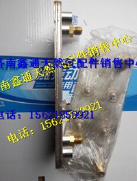濰柴天然氣LNG發(fā)動(dòng)機(jī)配件熱交換器