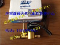 濰柴天然氣廢氣旁通控制閥