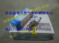 濰柴天然氣火花塞