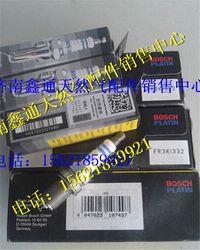 FR3K1332,博士濰柴LNG天然氣發(fā)動機火花塞,濟南鑫通天然氣銷售中心