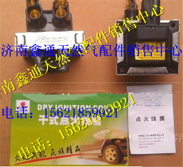南充天然氣發(fā)動機(jī)點火線圈/DQR129A