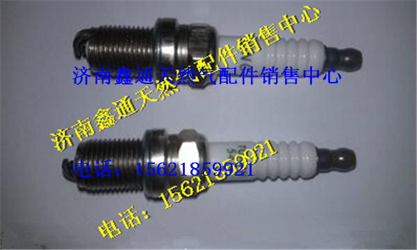 南充天然氣發(fā)動(dòng)機(jī)火花塞/5487 K8