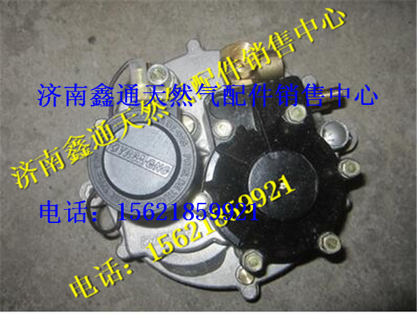 南充天然氣發(fā)動機(jī)減壓器/36.2D-01012-A02