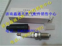 南充天然氣發(fā)動(dòng)機(jī)火花塞