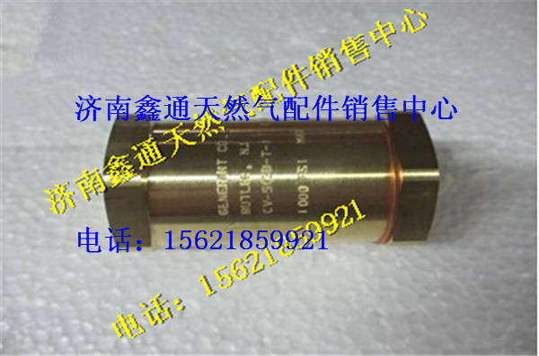 西安德森LNG氣瓶進(jìn)液單向閥/WG10000013（DZ9531956059