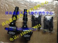 T89-009-01,上柴天然氣點火線圈,濟南鑫通天然氣銷售中心