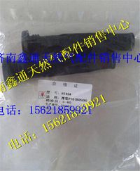 濰柴LNG天然氣發(fā)動機博世系統(tǒng)燃氣噴嘴