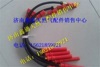 濰柴LNG天然氣發(fā)動(dòng)機(jī)高壓線