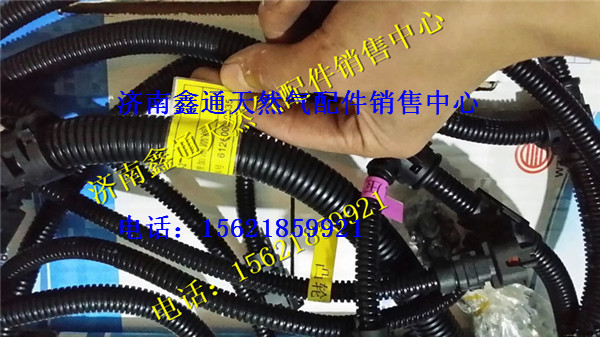 濰柴WP10傳感器線束/612600080835