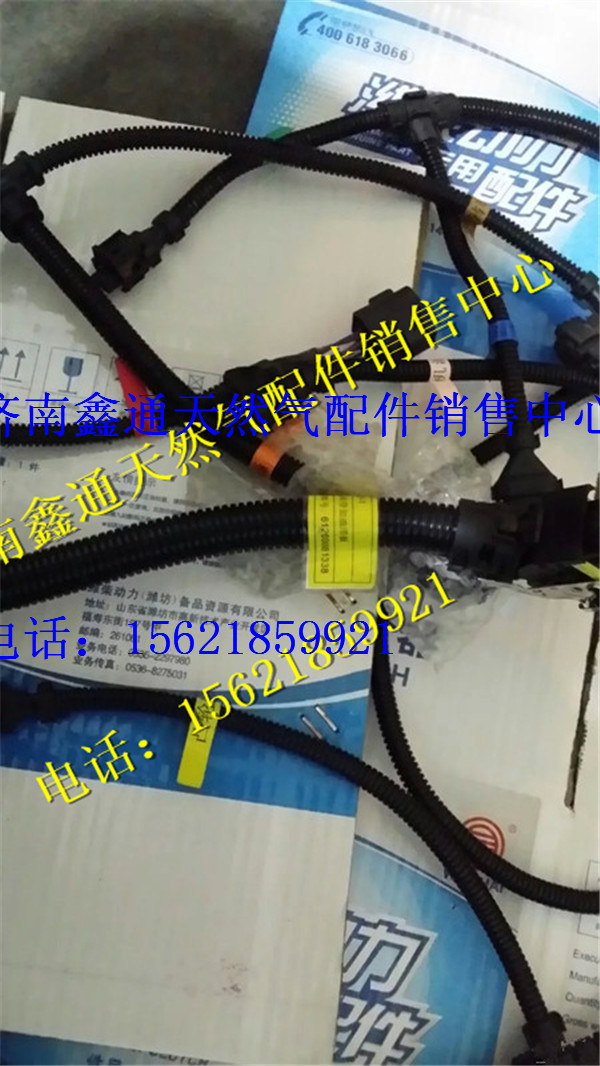 濰柴WP10傳感器線束/612600081338