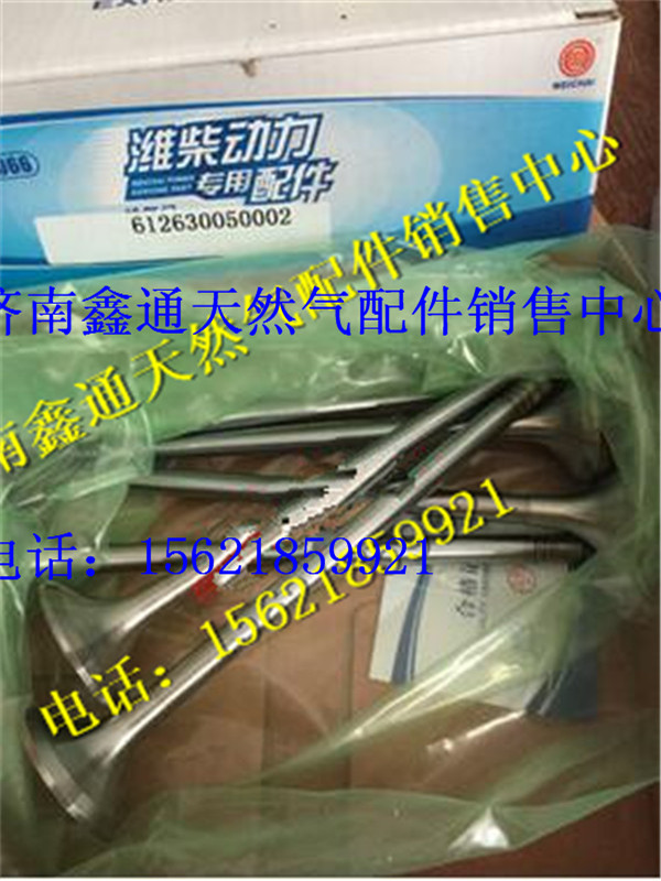 濰柴WP12發(fā)動(dòng)機(jī)配件進(jìn)排氣門/612630050001  6126300500