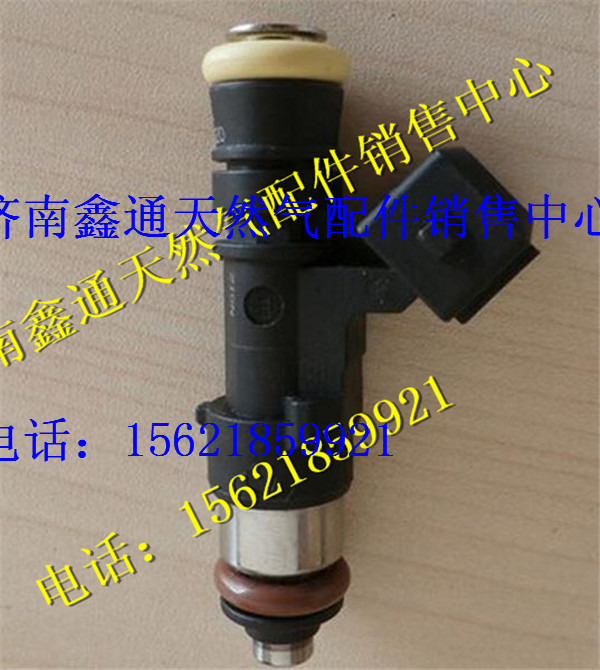 濰柴博士天然氣發(fā)動(dòng)機(jī)LNG噴嘴/0280158829   0280158830