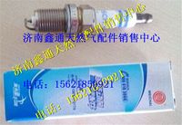 濰柴動(dòng)力天然氣發(fā)動(dòng)機(jī)火花塞