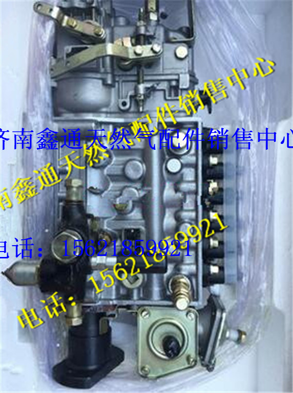 612600081135,濰柴發(fā)動(dòng)機(jī)噴油泵,濟(jì)南鑫通天然氣銷(xiāo)售中心