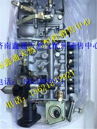 612600081135,濰柴發(fā)動(dòng)機(jī)噴油泵,濟(jì)南鑫通天然氣銷(xiāo)售中心