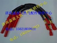 濰柴天然氣發(fā)動機高壓線