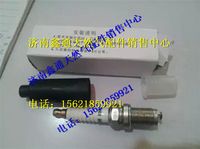 南充天燃?xì)獍l(fā)動(dòng)機(jī)火花塞