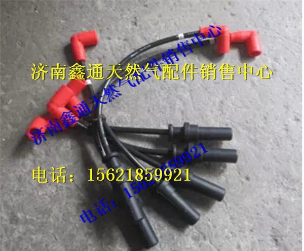 濰柴WP6燃?xì)飧邏簩?dǎo)線/13052073