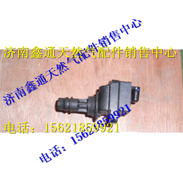 濰柴天然氣點火線圈/13034189