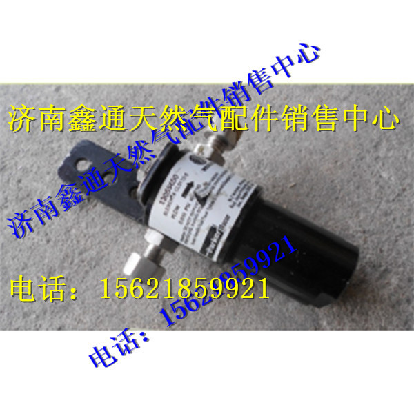 濰柴天然氣高壓燃?xì)鉃V芯/13055650