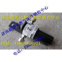 濰柴天然氣高壓燃氣濾芯