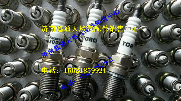 612600190535,濰柴天然氣火花塞,濟南鑫通天然氣銷售中心