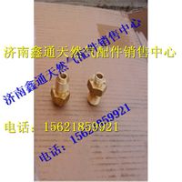 濰柴天然氣燃氣接頭