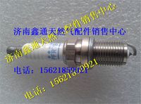 重汽豪沃LNG天然氣發(fā)動(dòng)機(jī)NGK火花塞