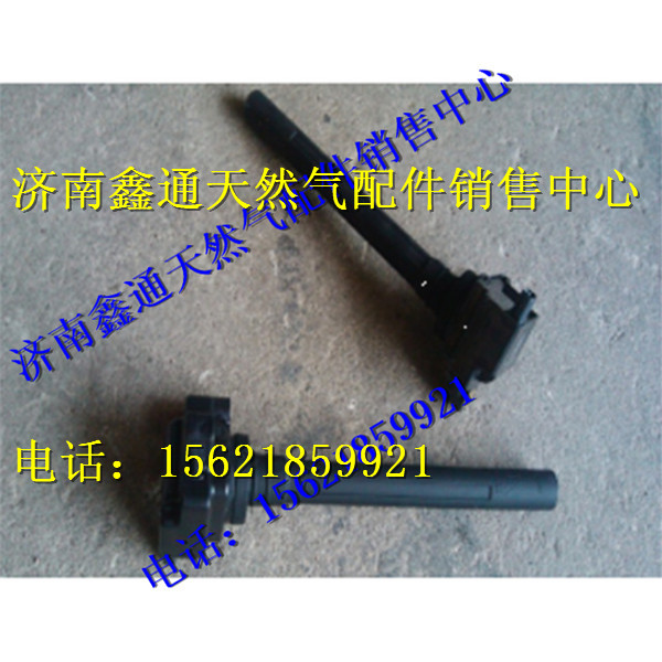 重汽天然氣點(diǎn)火線圈/VG1238080004