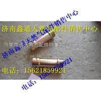 重汽天然氣點(diǎn)火線(xiàn)圈襯套