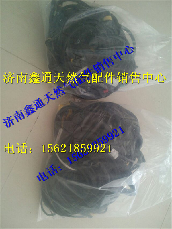 重汽天然氣發(fā)動(dòng)機(jī)線束/VG1092090052