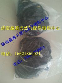 重汽天然氣發(fā)動機線束