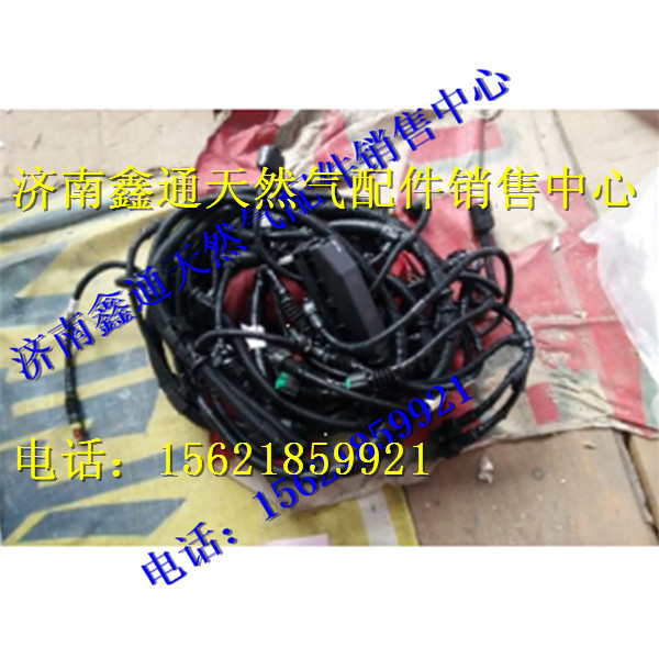 VG1238090102,重汽天然氣發(fā)動機線束,濟南鑫通天然氣銷售中心
