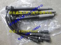 玉柴天然氣高壓導(dǎo)線