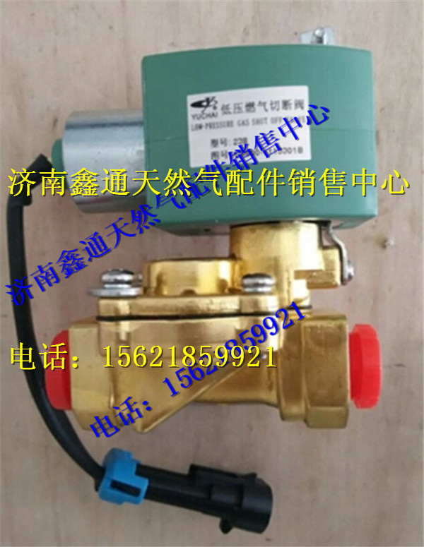 玉柴天然氣低壓燃料切斷閥/G6600-1113301B