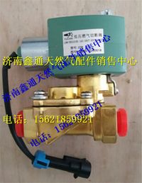 玉柴天然氣低壓燃料切斷閥