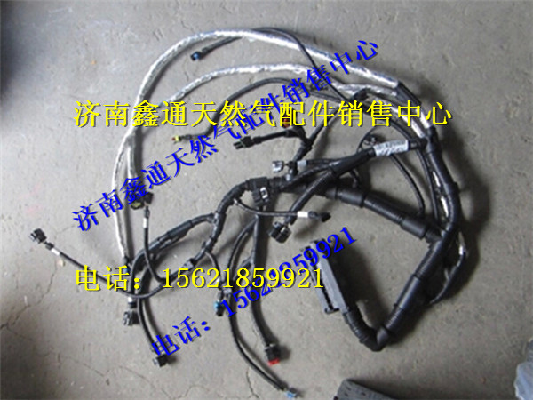 玉柴天然氣發(fā)動(dòng)機(jī)線束/J5700-3823200C