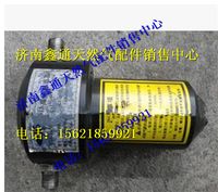 玉柴天然氣燃?xì)飧邏哼^濾器