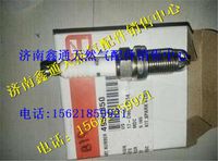 康明斯天然氣發(fā)動機(jī)火花塞4937432
