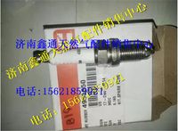 東風(fēng)康明斯燃?xì)獍l(fā)動機(jī)火花塞