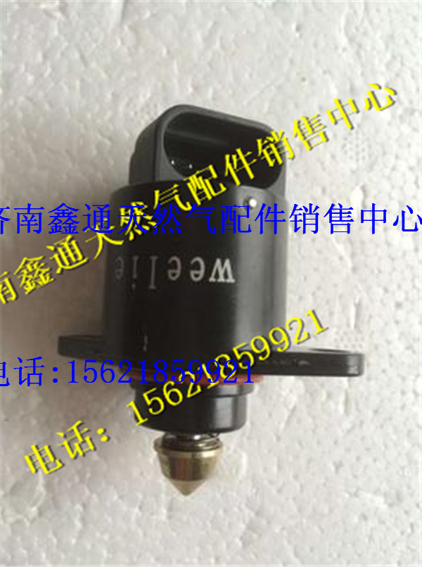 東風(fēng)南充天然氣發(fā)動(dòng)機(jī)步進(jìn)電機(jī)/36.2DZ-01051