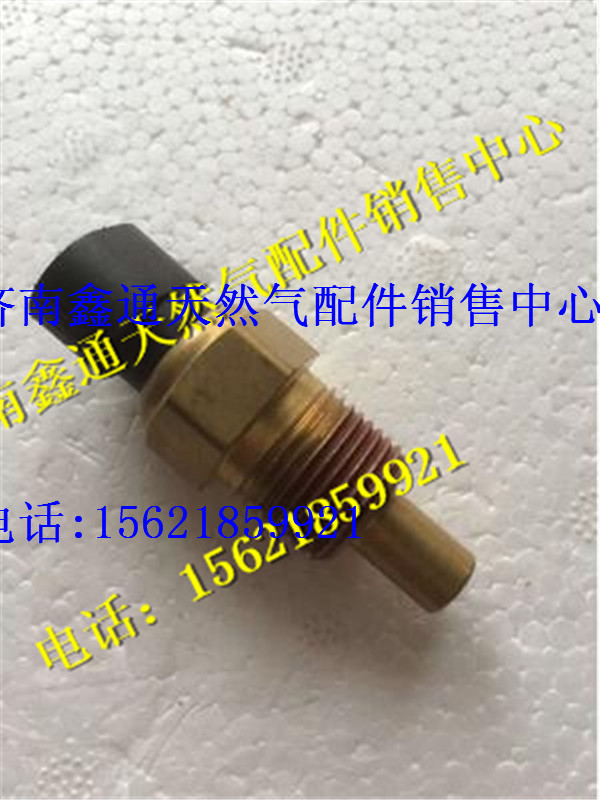 南充天然氣發(fā)動機(jī)水溫傳感器/36.2D-02012