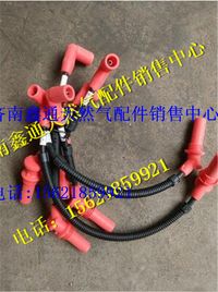 上柴天然氣發(fā)動(dòng)機(jī)高壓導(dǎo)線