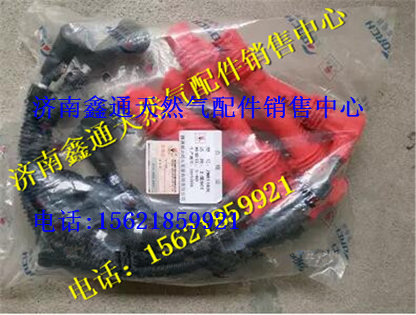 上柴天然氣高壓線/T89-013-03+A