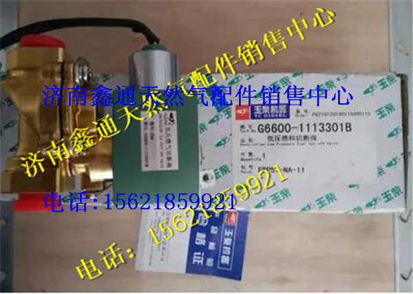 玉柴天然氣低壓燃料切斷閥/G6600-110720