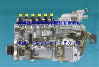 VG1557080050 ,中國(guó)國(guó)重汽杭發(fā)EGR噴油泵總成                        ,濟(jì)南鑫達(dá)重卡汽車(chē)配件有限公司