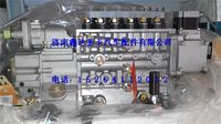 VG1592080050 ,中國國重汽杭發(fā)EGR噴油泵總成                        ,濟(jì)南鑫達(dá)重卡汽車配件有限公司