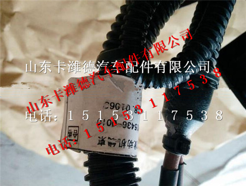 810W25436-0010,重汽曼MC07發(fā)動機線束,山東卡濰德汽車配件有限公司